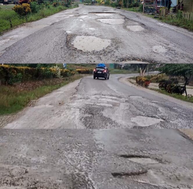 
					Masyarakat Tiga Desa Di Wilayah Kabupaten Konawe Selatan Minta Bupati dan Gubernur Sultra Segera Perbaiki Sejumlah Akses Jalan Rusak