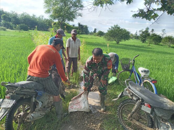 
					Atasi Kesulitan Warga, Babinsa Bantu Warga Pemeliharaan Jalan Usaha Tani