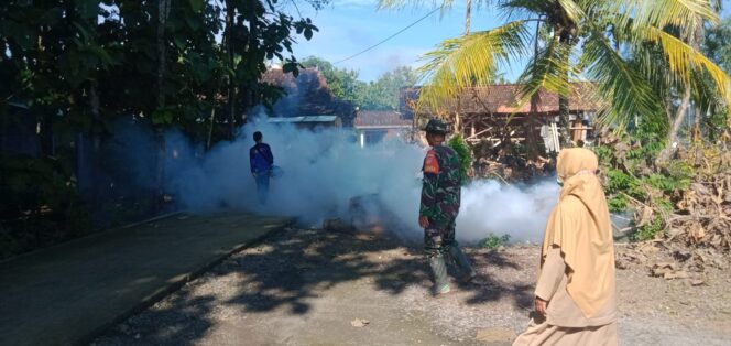 
					Waspadai DBD Babinsa Dampingi Fogging