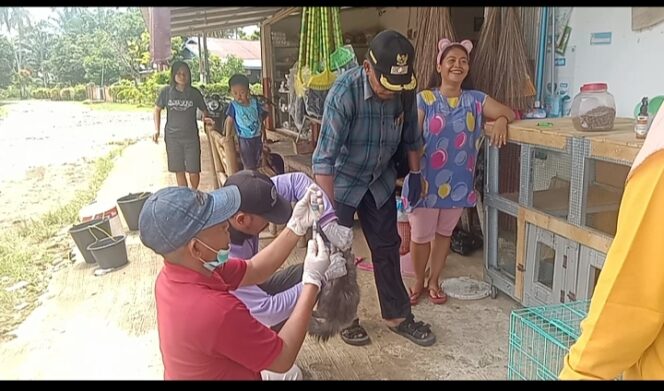 
					Di Desa Sidosari Dokter Hewan Memberikan Vaksin Rabies Pada Hewan Kucing, Anjing Dan Kera.