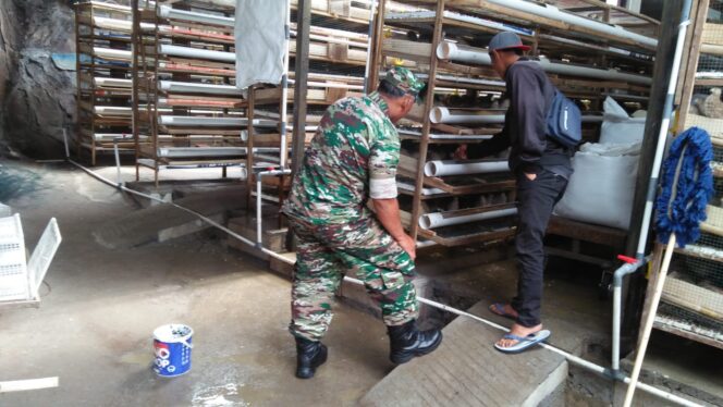 
					Babinsa Selo Komsos Dengan Peternak Desa Sanden