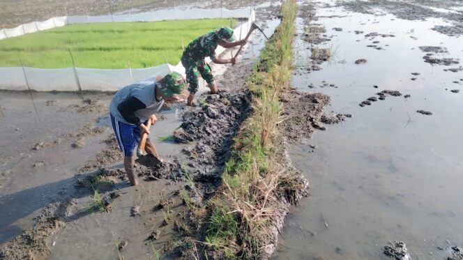 
					Babinsa Bantu Pembuatan Pematang Sawah Demi Suksesnya Bercocok Tanam