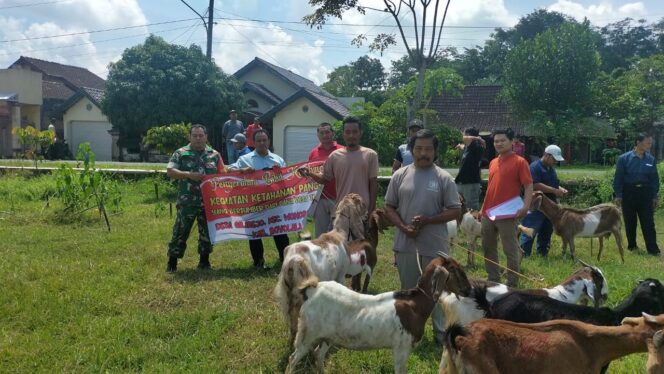 
					Babinsa Wonosegoro Berperan Aktif Dalam Sosialisasi Peternakan di Balai Desa Gilirejo