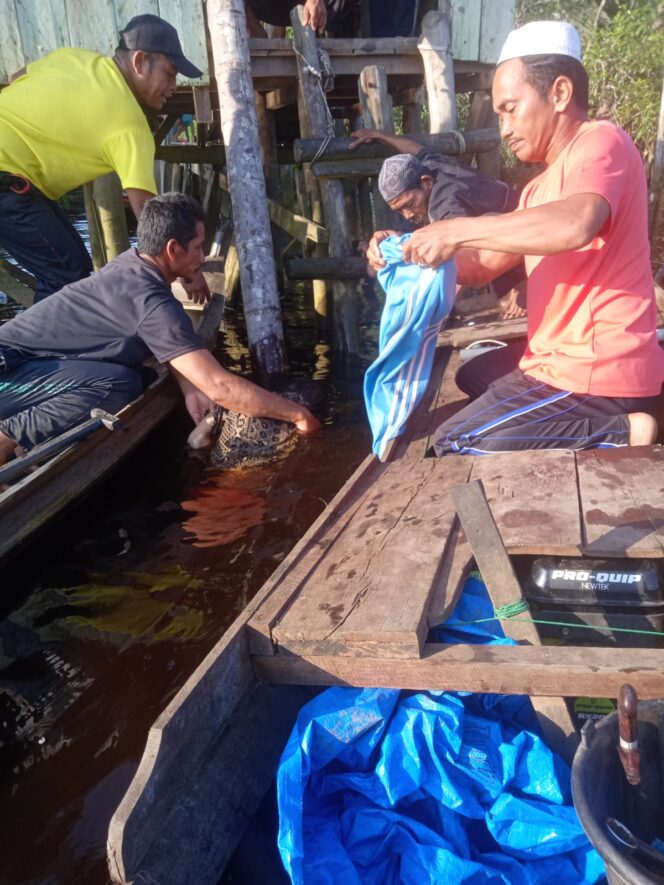 
					Jatuh ke Sungai Warga di Pelangiran Ditemukan Meninggal Dunia