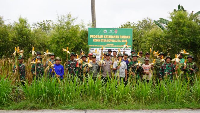 
					Kodim Boyolali Panen Raya Jagung Di Lahan Perhutani