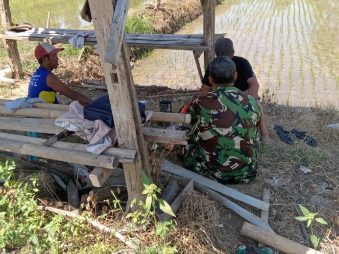 
					Bangun Kepercayaan, Babinsa Nogosari Terjun Langsung Ke Lapangan