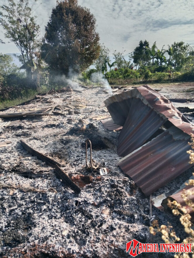 
					Sie jago merah lahap rumah warga Kebas Kelurahan Sekincau Lampung Barat .
