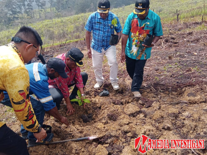 
					PJ Bupati Jayawijaya Tanam 1000 Bibit Pohon Alpukat di Kampung Iriliga