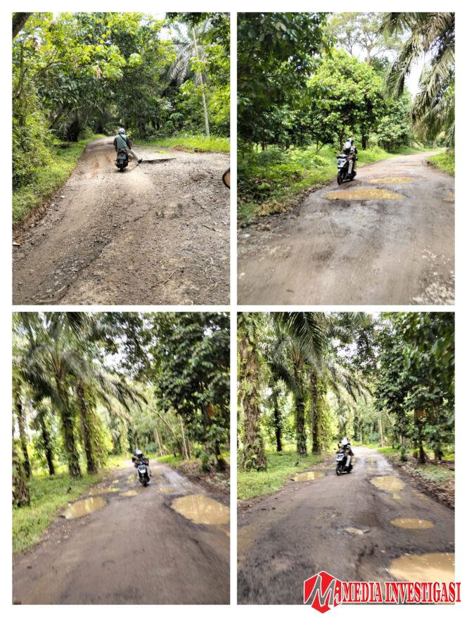 
					Jalan Rusak Lumpuhkan Aktivitas Warga Tiumang, Kapan Perbaikan?