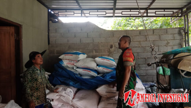 
					Dukung Swasembada Pangan Babinsa Klego Lakukan Pengecekan Pupuk Di Desa Gondanglegi