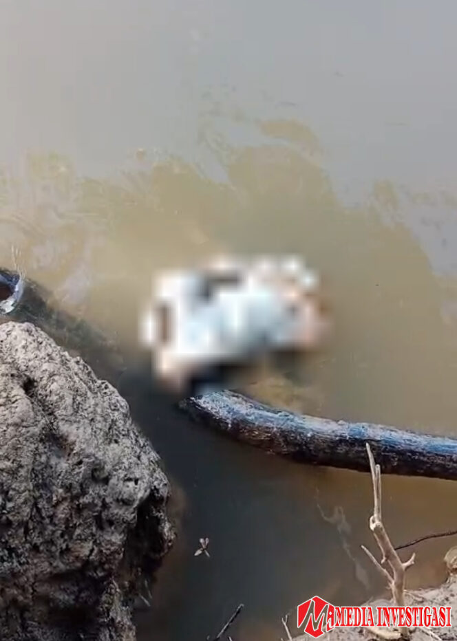 
					Penemuan Mayat Bayi Gegerkan Warga Dharmasraya, Polisi Buru Pelaku