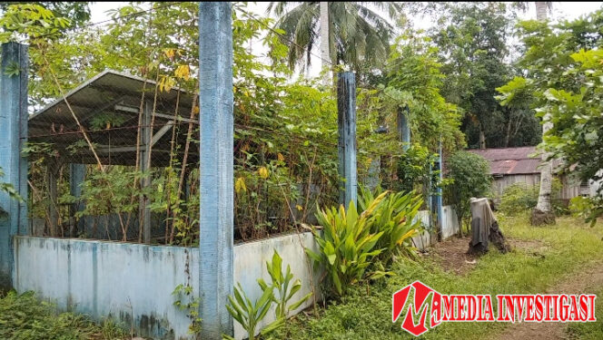 
					Proyek Irigasi Air Tanah Dangkal di Tabiang Tinggi Terbengkalai, Rp 270 Juta Uang Rakyat Mubazir