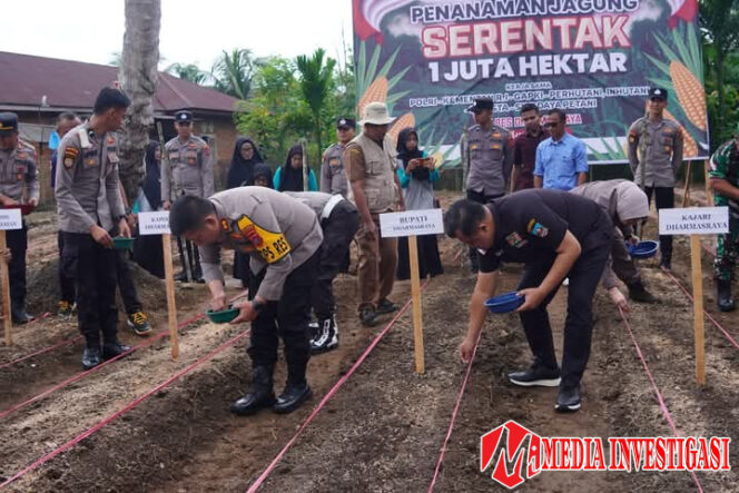 
					Polri Bersama Kementan RI dan Mitra Gelar Penanaman Bibit Jagung di Satu Juta Hektar, Dharmasraya Jadi Salah Satu Titik Utama