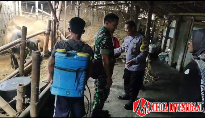 
					Cegah PMK, Babinsa Dampingi Penyemprotan Cairan Disinfektan