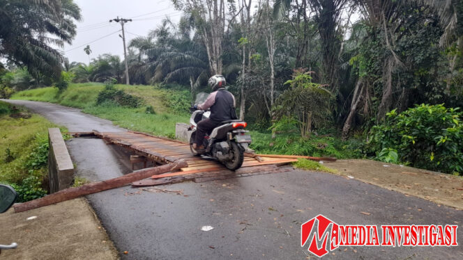 
					Jembatan Amblas, Akses 74 KK di Jorong Padang Bintungan Terputus Total, Warga Desak Pembangunan Permanen