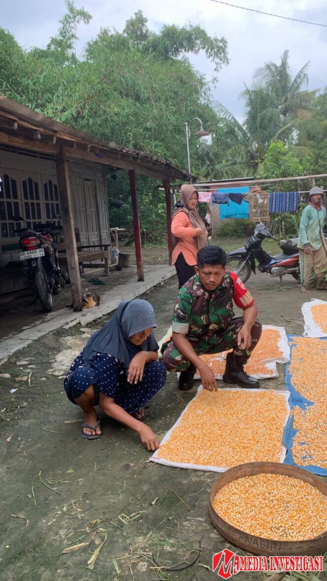 
					Babinsa Kemusu Aktif Sambangi Petani Desa Kendel