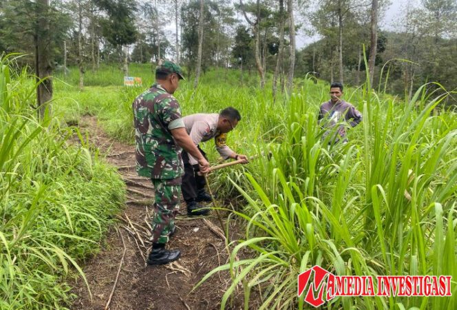 
					TNI Polri Dan Petugas Gabungan Lakukan Penanaman Pohon Endemik Dijalur Pendakian Gancik