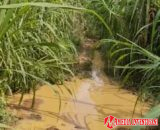 Jalan Utama ke Jorong Lubuk Labu dan Sungai Limau Memprihatinkan, Visi-Misi Bupati Dharmasraya Dipertanyakan