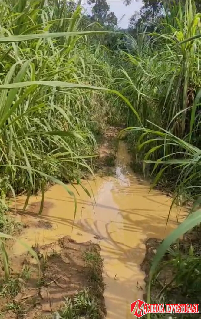 
					Jalan Utama ke Jorong Lubuk Labu dan Sungai Limau Memprihatinkan, Visi-Misi Bupati Dharmasraya Dipertanyakan
