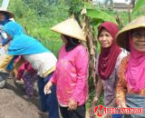 Nenek Tua Penyemangat Anggota Satgas TMMD