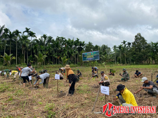 
					TMMD ke -123, Kodim 0314/Inhil Laksanakan Penanaman Pohon di Desa Mumpa