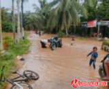 BPBD Dharmasraya Imbau Warga Waspada, Titik Genangan Air Bertambah di Sejumlah Nagari