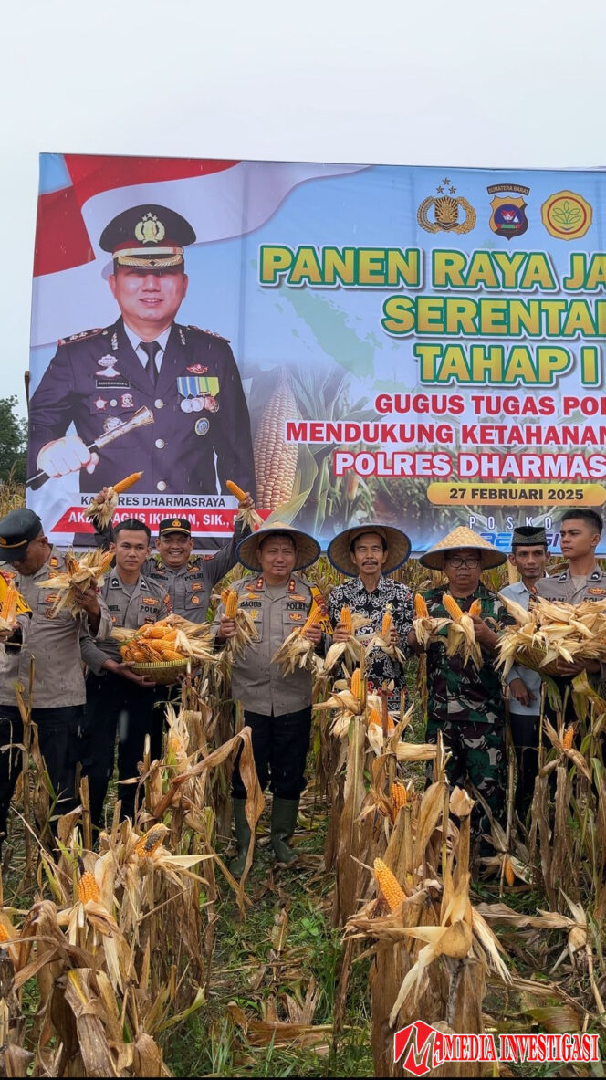 
					Kapolres Dharmasraya Pimpin Panen Jagung Serentak, Dorong Ketahanan Pangan dan Kesejahteraan Petani