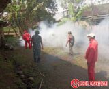 Babinsa Dampingi Dinas Kesehatan Lakukan Fogging Cegah DBD