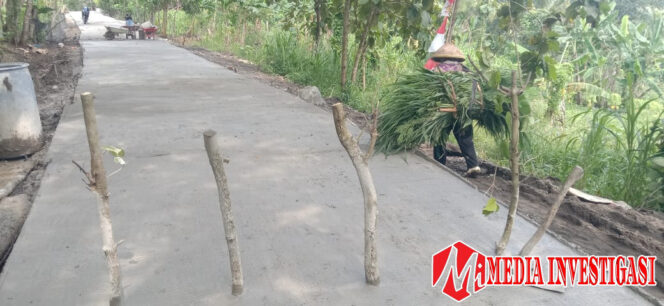 
					Betonisasi Jalan Hampir 100% 