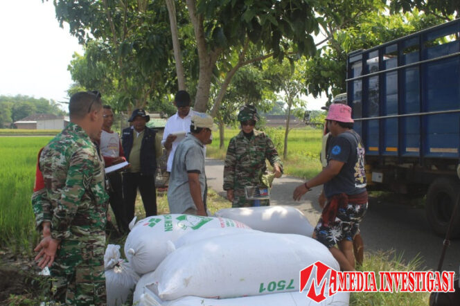 
					Babinsa Boyolali Jembatani Antara Petani dan Bulog Terkait Hasil Panen
