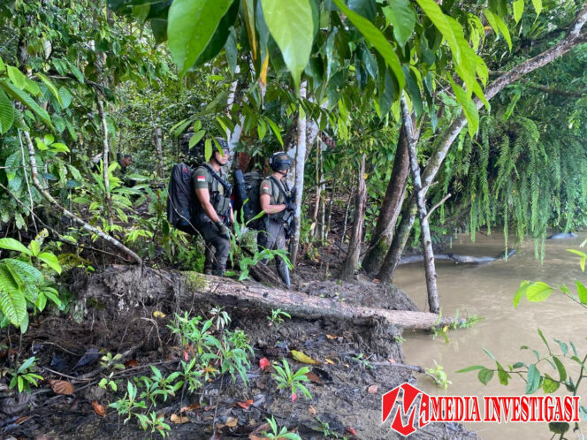 
					Penyisiran Zona Merah oleh SAR Korps Brimob Polri di Lokasi Hilangnya Iptu Tomi Marbun
