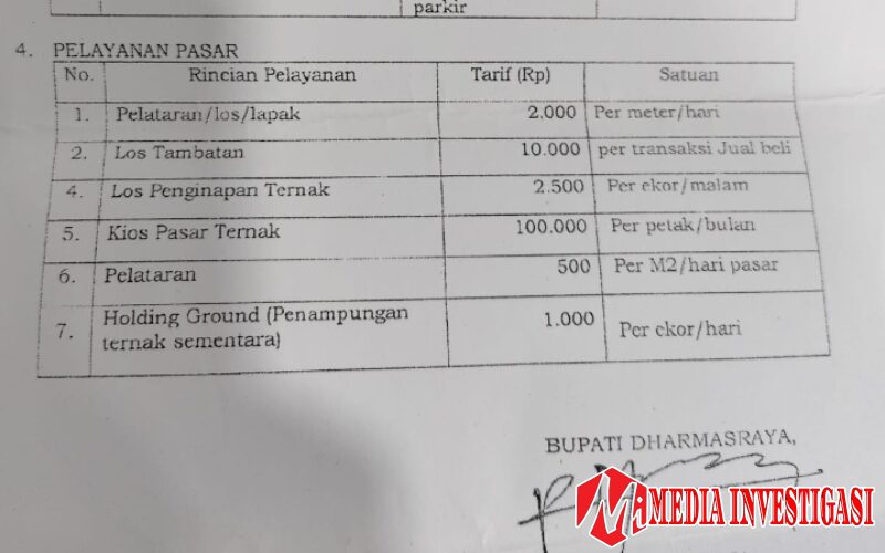 Heboh Selebaran Parkir, Nama Sutan Riska Tanpa Stempel, Dishub Dharmasraya Dinilai Langgar Prosedur