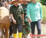 Ketua DPRD Menghadiri Penanaman Padi Serentak di Seluruh Wilayah Provinsi Jambi