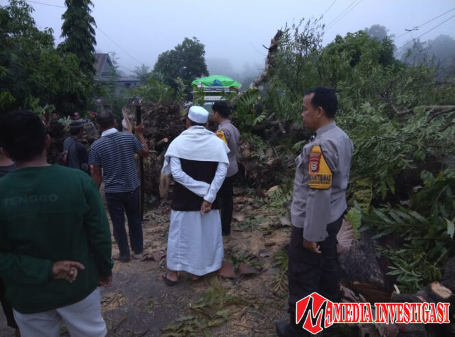 
					Pohon Asam Tumbang di Jalan Poros Takalala-Lamuru, Kapolsek Marioriwawo Gerak Cepat Evakuasi