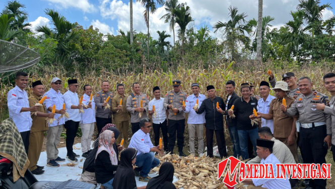 
					Kapolres Dharmasraya Panen Jagung Program Ketahanan Pangan Polri di Sungai Kambuik