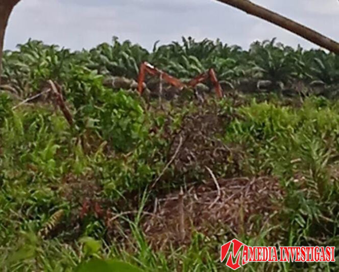 
					Masih Beraktivitas, Sejumlah Warga Abaikan Kesepakatan Soal Tapal Batas Kecamatan Batang Tuaka dan GAS