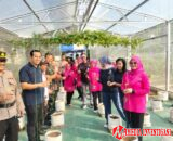 Wujudkan Ketahanan Pangan, Warga Pegangsaan Dua Gelar Tanam Serentak Jagung dan Melon