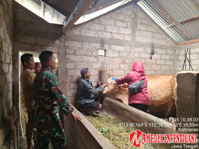 
					Upaya Pencegahan PMK di Desa Kalinanas 