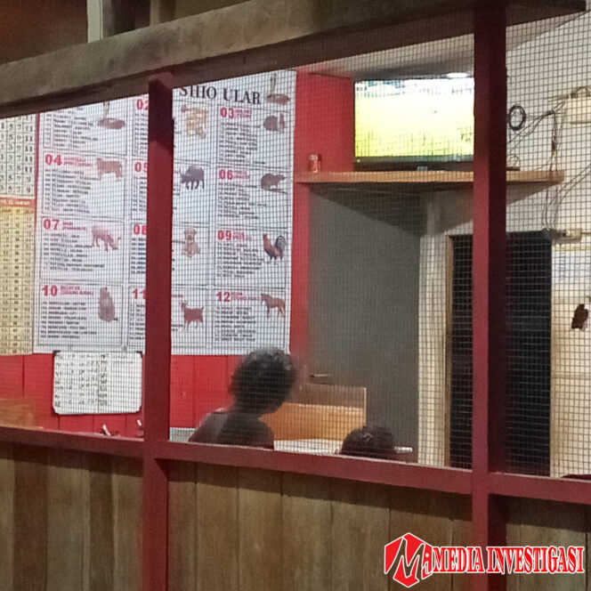 
					Diduga Ada Setoran Ratusan Juta dari Judi Togel ke Aparat di Kab. Jayapura
