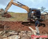 Kontraktor Replanting di Sipangkur: “Kami Bekerja Sesuai RAB, Tidak Ada Pungli!”
