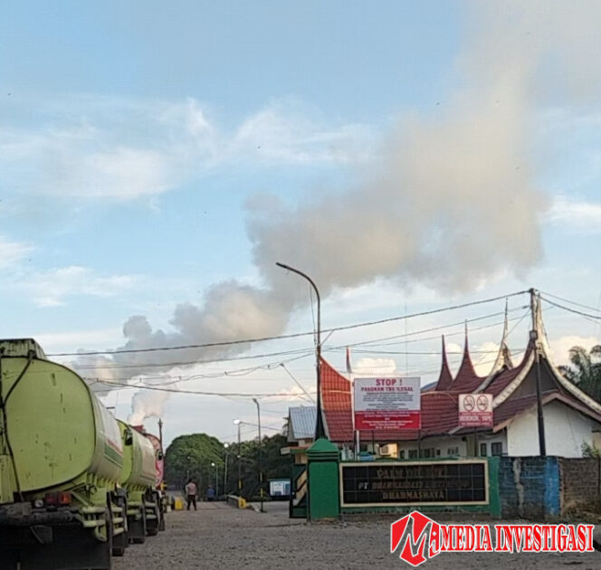 
					Bahaya Tak Kasat Mata: Polusi Udara Pabrik Sawit Ancam Kesehatan Warga Sekitar