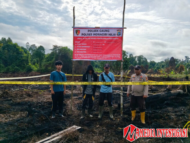 
					Polres Inhil Tangkap Pelaku Pembakaran Lahan di Gaung, 5 Hektare Lahan Gambut Terbakar