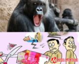 MAD Sahu Minta Dinas DPMD Kabupaten Pulau Taliabu Stop Urus Pergantian PJ Kades Jika Belum Ada LPJ Dari Kades Lama Ke Pj. Kades Baru