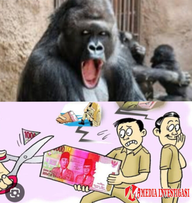 
					MAD Sahu Minta Dinas DPMD Kabupaten Pulau Taliabu Stop Urus Pergantian PJ Kades Jika Belum Ada LPJ Dari Kades Lama Ke Pj. Kades Baru