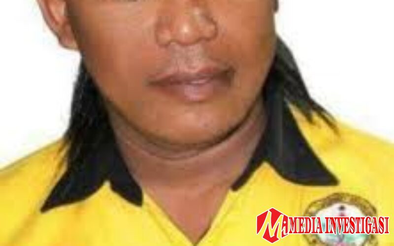 Breaking News: Ada Gorila di Taliabu, Hukum Punya Selera Tidur Siang