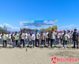 Sejak 2014, Jambak Sea Turtle Camp Telah Lepaskan 60 Ribu Tukik dan Tanam Ribuan Mangrove
