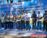 Fadly Amran dan Astra Tanam 16 Ribu Mangrove untuk Benteng Pesisir Padang