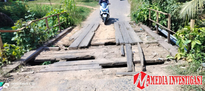 
					Jembatan Pulau Anjolai Terancam Ambruk, Akses Vital Warga Sembilan Koto dalam Bahaya