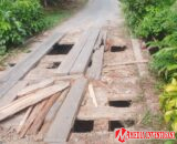 Jembatan Maut Dibiarkan, Pemkab Dharmasraya Abaikan Rakyat Sembilan Koto