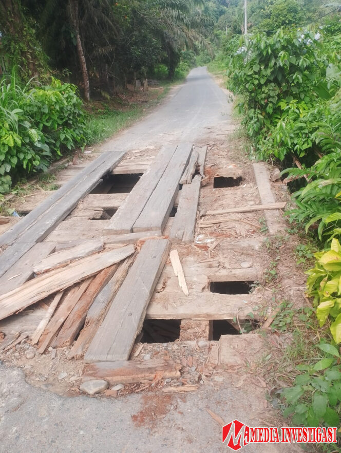 
					Jembatan Maut Dibiarkan, Pemkab Dharmasraya Abaikan Rakyat Sembilan Koto